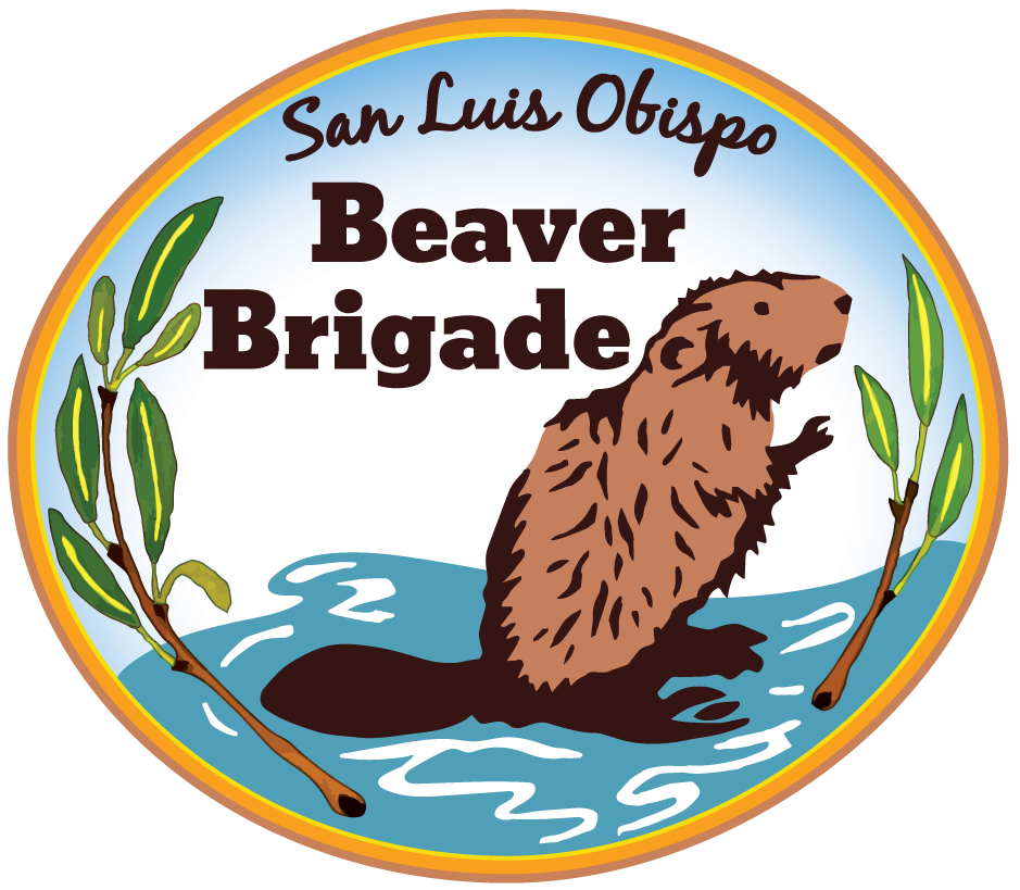 San Luis Obispo Beaver Brigade Logo